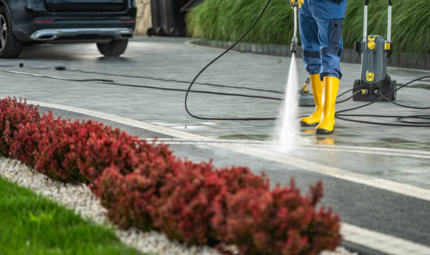 Best Solar Panel Cleaning  in Spring Valley Village, TX